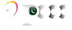 p999comloginapp.com Logo